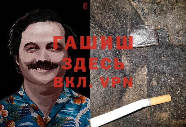 прущие грибы Куйбышев