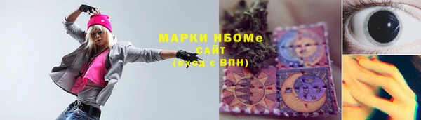 прущие грибы Куйбышев
