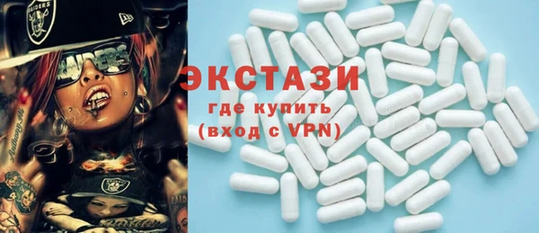 индика Козельск