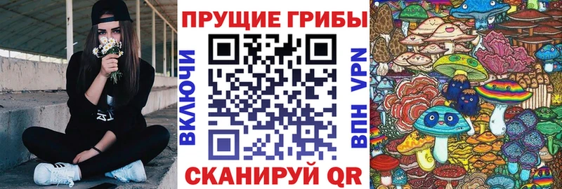 Галлюциногенные грибы GOLDEN TEACHER  OMG tor  Нестеровская 